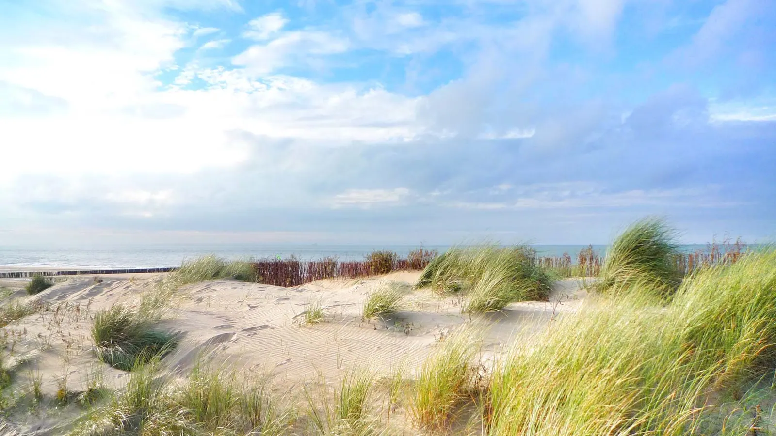 Traumreise am Meeresstrand